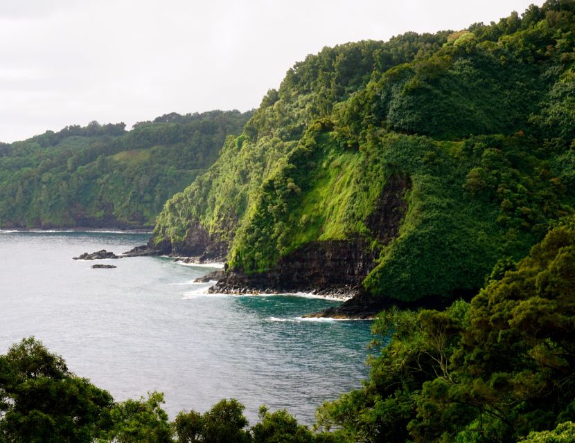 Maui: Private Guided Halfway to Hana Tour - North Shore Surf Viewing: Where the Energy Changes