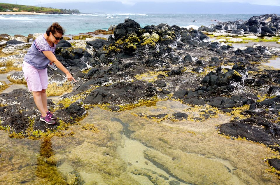 Maui: Private Guided Halfway to Hana Tour - Starting at Kahului Park & Ride: The Day Begins Easy