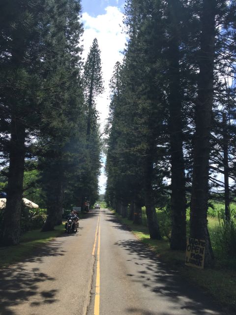 Maui : Private : Road to Hana Day Trip : Just For Your Group - Timing and Pace: 8 Hours Sounds Simple Until You Hit Hana Highway