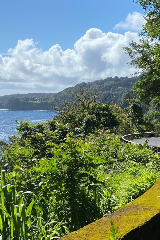 Maui: Road to Hana Private Adventure Tour with Luxury SUV - Who this tour suits best