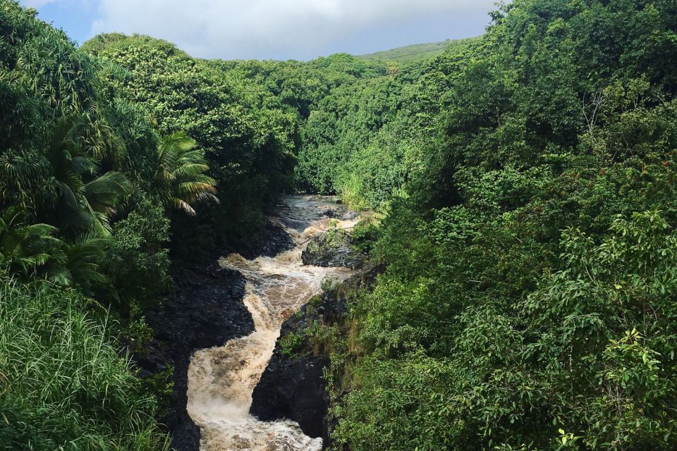 Maui: Road to Hana Sightseeing Tour - Who should book, and who should skip this Road to Hana tour