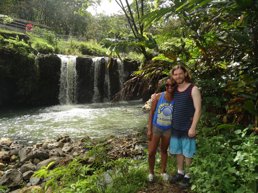 Maui: Road to Hana Waterfalls Tour with Lunch - Pickup, Van Comfort, and Why the Ride Feels Long
