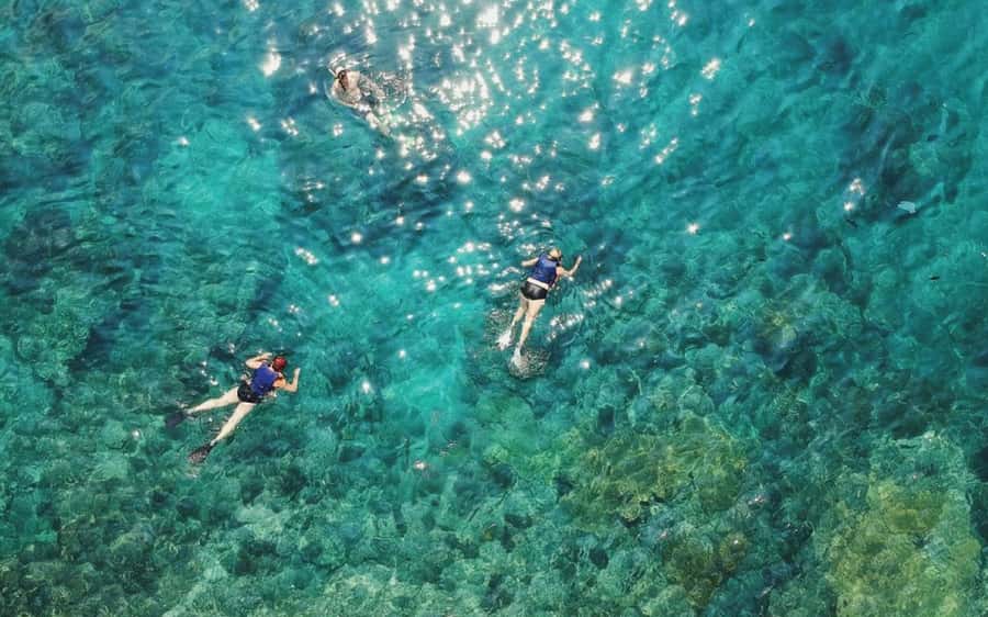 Maui: Semi-Private 3 Hour Eco-Raft Turtle Snorkel Tour - A Maui turtle snorkel tour that feels close to private