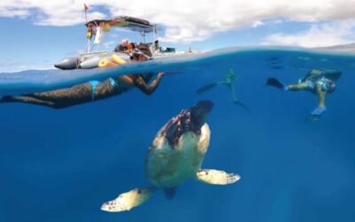 Maui: Semi-Private 3 Hour Eco-Raft Turtle Snorkel Tour - The Lahaina check-in details that actually matter