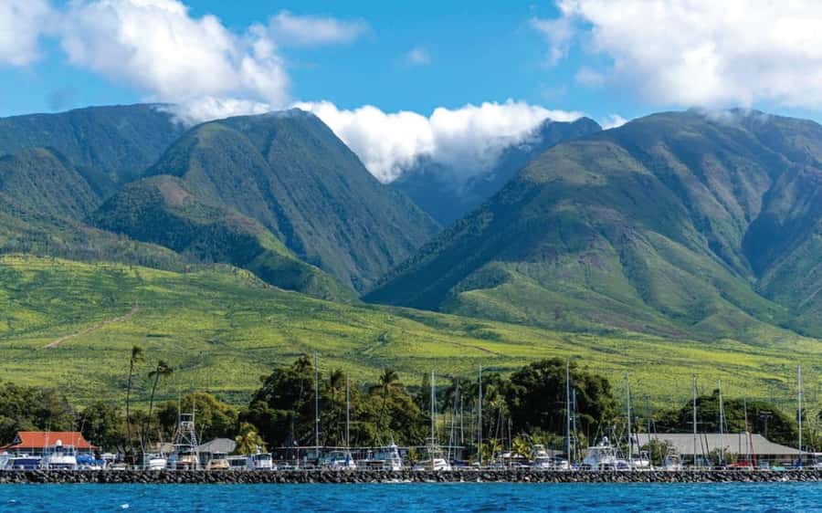Maui: Semi-Private 3 Hour Eco-Raft Turtle Snorkel Tour - Two hours of snorkeling: beginner-friendly turtle spotting