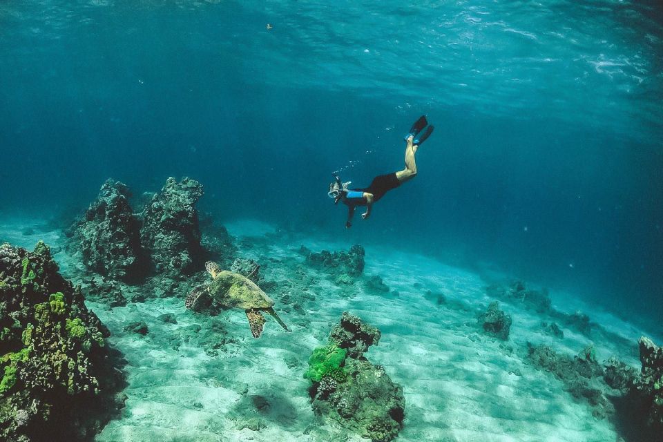 Maui: Semi-Private 3 Hour Eco-Raft Turtle Snorkel Tour - Price and value: where your $159 actually goes