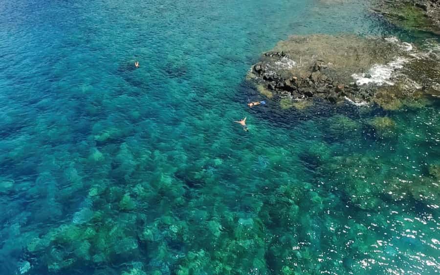 Maui: Semi-Private Eco-Raft Lanai Snorkel & Dolphin Tour - Key Points to Know Before You Go