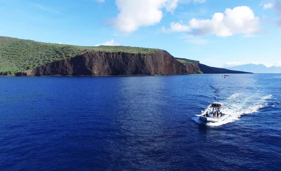 Maui: Semi-Private Eco-Raft Lanai Snorkel & Dolphin Tour - Second Snorkel Session on Lanai: More Spots, More Chances for Turtles and Fish