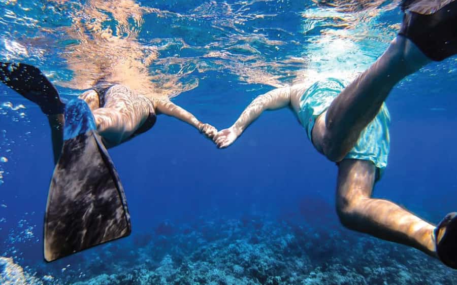 Maui: Semi-Private Eco-Raft Lanai Snorkel & Dolphin Tour - Wild Dolphins Around Lanai: What to Expect From a Nature Encounter