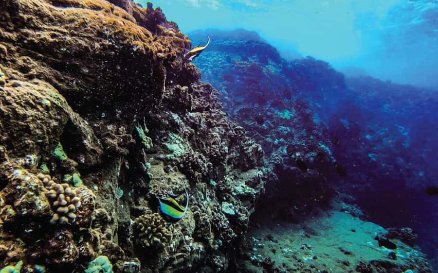 Maui: Semi-Private Eco-Raft Lanai Snorkel & Dolphin Tour - Picture-Perfect Cliffs: Seeing Lanai From the Water