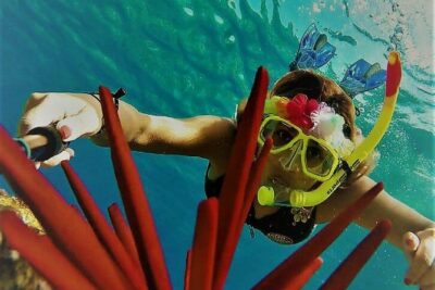 Maui Snorkel Adventure: Molokini Crater and Turtle Cove - Makena Beach to Molokini Crater: The Morning Flow