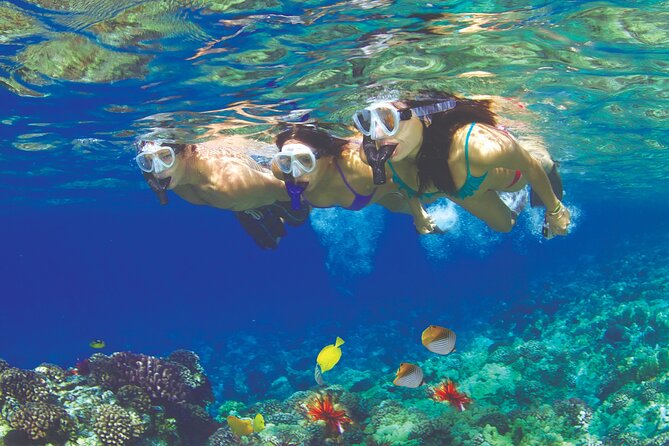 Maui Snorkel and Sunset Sail - Key points to know before you go