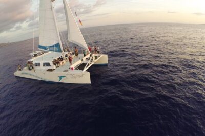 Maui Snorkel and Sunset Sail - Pacific Whale Foundation stop: learning the ocean, not just watching it