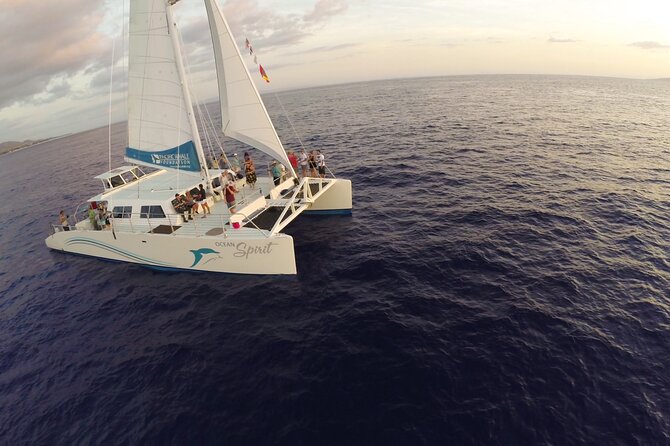 Maui Snorkel and Sunset Sail - Pacific Whale Foundation stop: learning the ocean, not just watching it