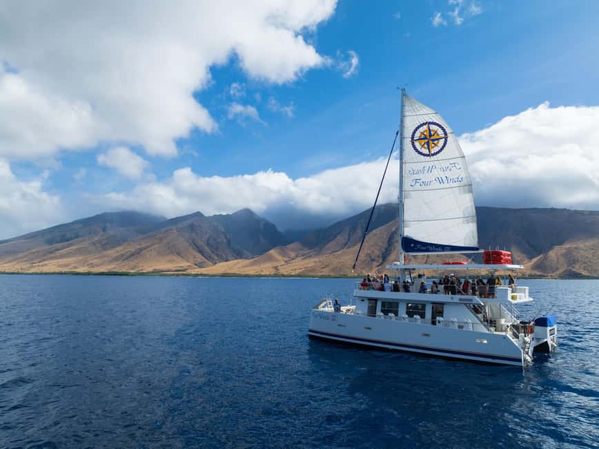 Maui: Snorkel Tour to Coral Gardens - Maalaea Harbor boarding on Four Winds: comfort first