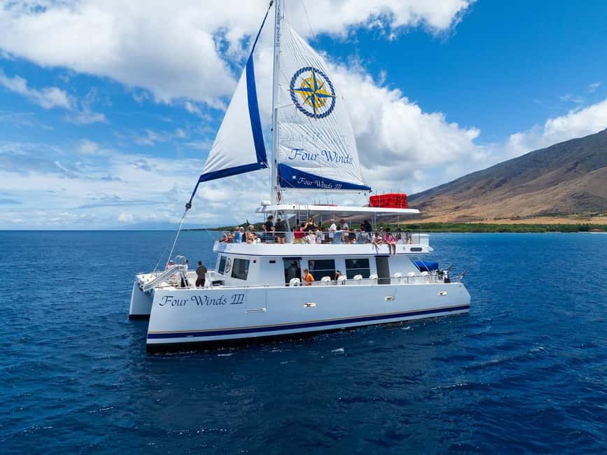 Maui: Snorkel Tour to Coral Gardens - Coral Gardens snorkel stop: what you’ll see and how time works
