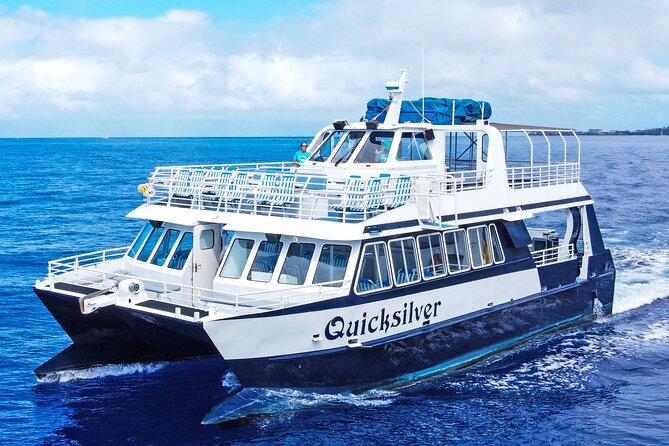 Maui Snorkeling Boat Tour to Turtle Town Aboard Quicksilver - Turtle Town and Coral Gardens: why the captain’s daily choice is part of the deal