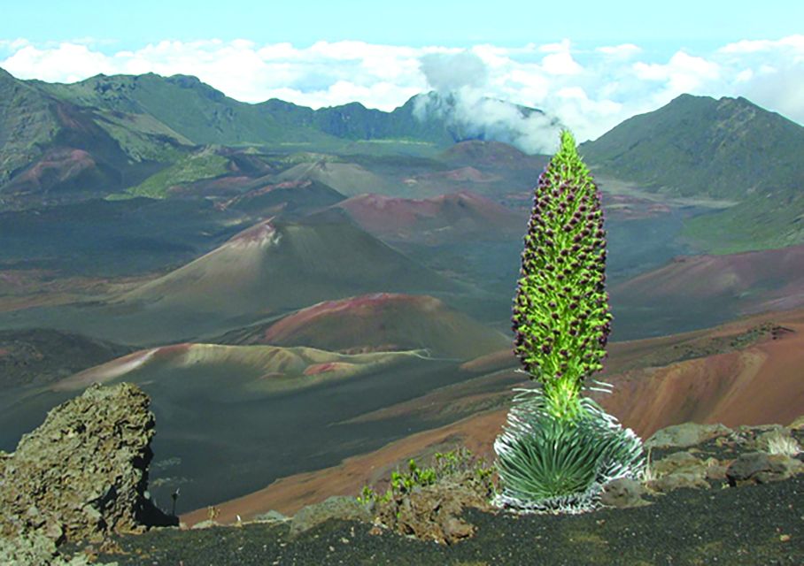 Maui: Sunset & Dinner Tour to Haleakala National Park - Afternoon Pickup and a Relaxed Start in Maui
