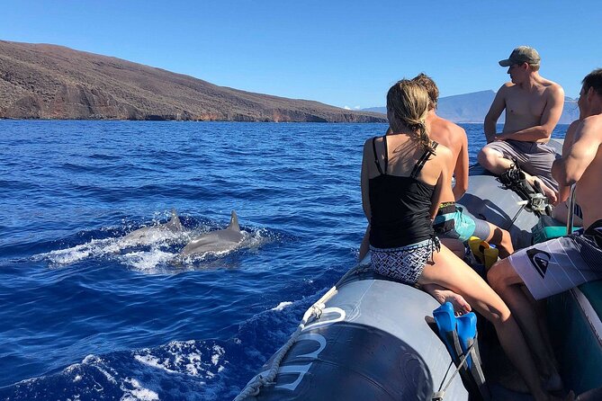 Maui to Lanai Semi-Private Eco Raft Snorkel & Dolphin Tour - Price and value: what $96.52 buys you here