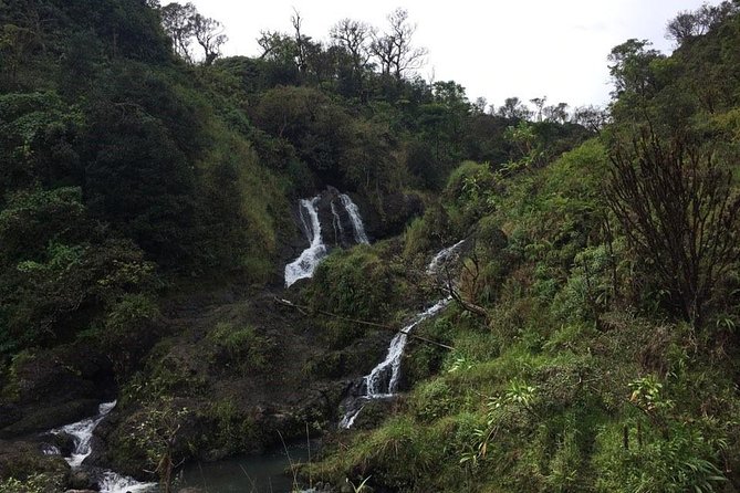 Maui Tour : Road to Hana Day Trip from Kahului Lunch, Water, Chip - Wailua Valley Waterfalls: Getting Multiple Drops Without Too Much Detour