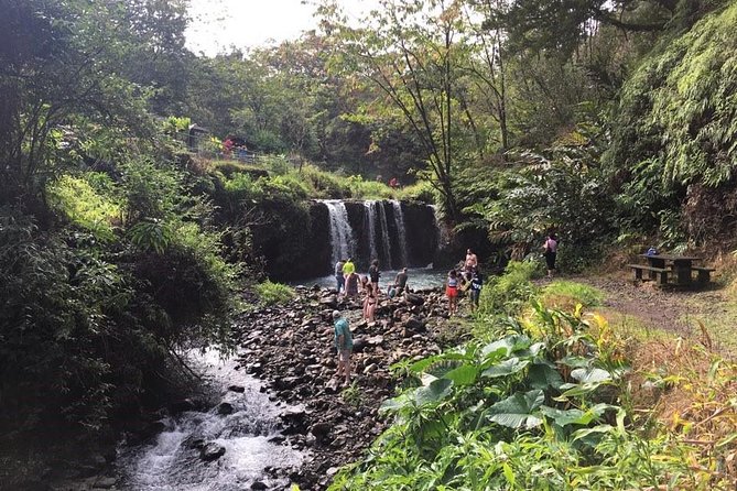 Maui Tour : Road to Hana Day Trip from Lahaina with Pick-up - Let someone else handle the 640-curved road