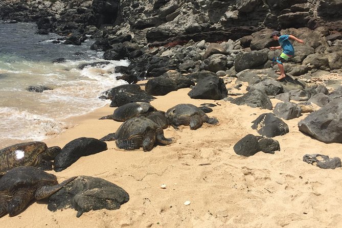 Maui Tour : Road to Hana Day Trip from Lahaina with Pick-up - Ke‘anae Point: taro farms and poi culture