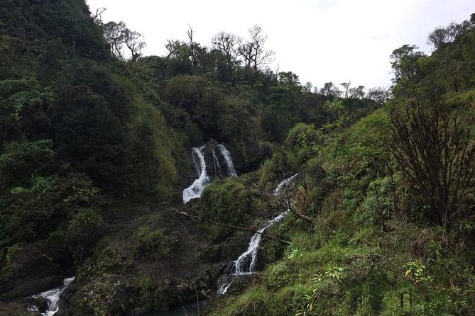 Maui Tour : Road to Hana Day Trip from Lahaina with Pick-up - Pua’a Ka’a State Park: the safest swimming-style waterfall break