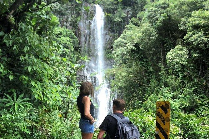 Maui Tour : Road to Hana Day Trip from Lahaina with Pick-up - Black sand beach time: short dip, big payoff