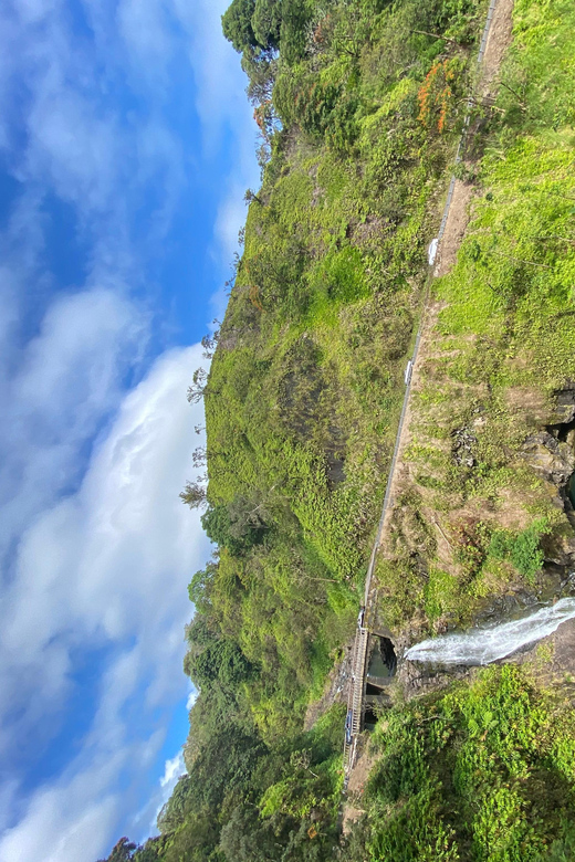 Maui: Van Day Trip to Hana with Local Guide and Lunch - Key things I’d highlight before you go