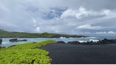 Maui: Van Day Trip to Hana with Local Guide and Lunch - The ocean-coast ride: what you’re actually paying for