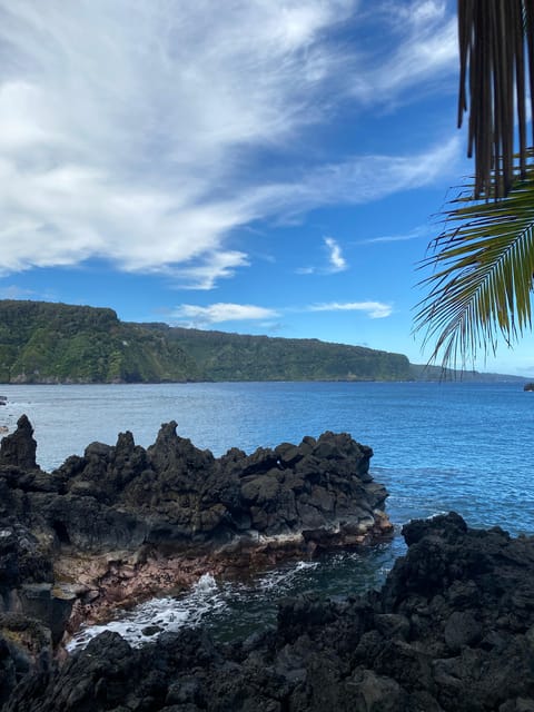 Maui: Van Day Trip to Hana with Local Guide and Lunch - Who this Hana van trip is best for