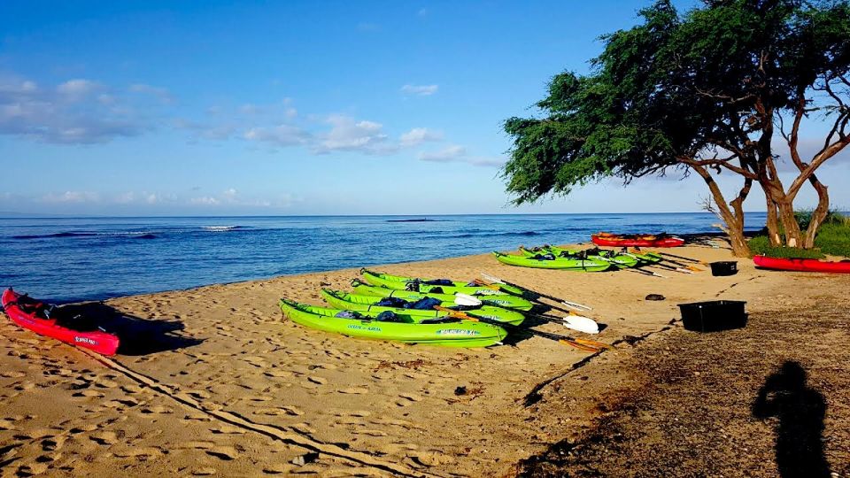 Maui: West Side Discovery Kayak & Snorkel from UKUMEHAME - West Maui morning timing: why it changes everything
