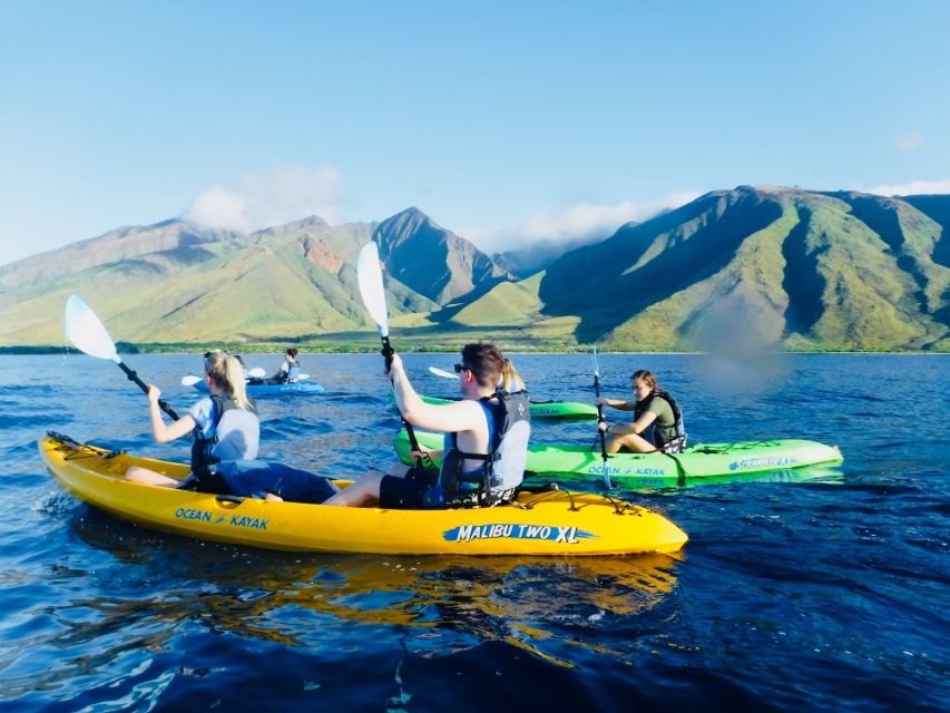 Maui: West Side Discovery Kayak & Snorkel from UKUMEHAME - Price and value: is $120 worth it?