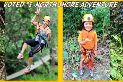 Maui Zipline Eco Adventure: 8 Lines through the Jungle - Check-In at Jungle Zipline Maui-HI: What to Expect Before You Fly