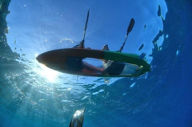 Maui's Only Clear Bottom Kayak Rental (priced per tandem kayak) - Weather, Group Size, and When to Go