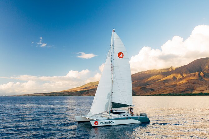 Midmorning Whale Watch from Lahaina Harbor - When Plans Change: Weather and Schedule Reality