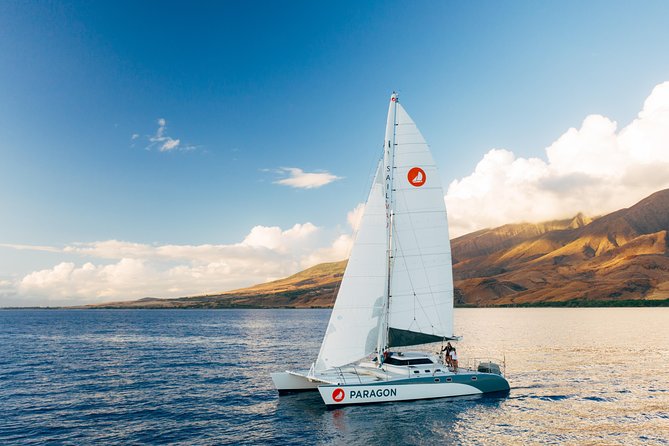 Morning Whale Watch: Lahaina Harbor - Key things to know before you go