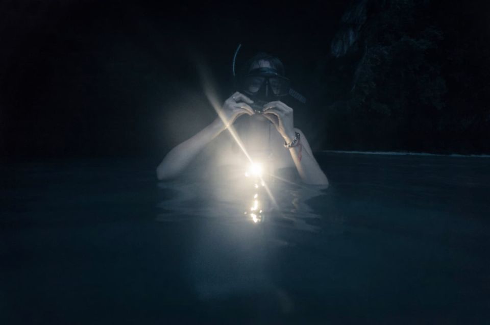 Night Time Snorkel At Turtle Town With Lights And Stars - Your 90 minutes: what the timing feels like
