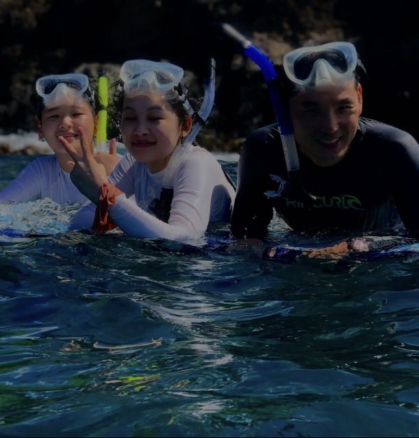 Night Time Snorkel At Turtle Town With Lights And Stars - Who should book this night snorkel (and who should pass)