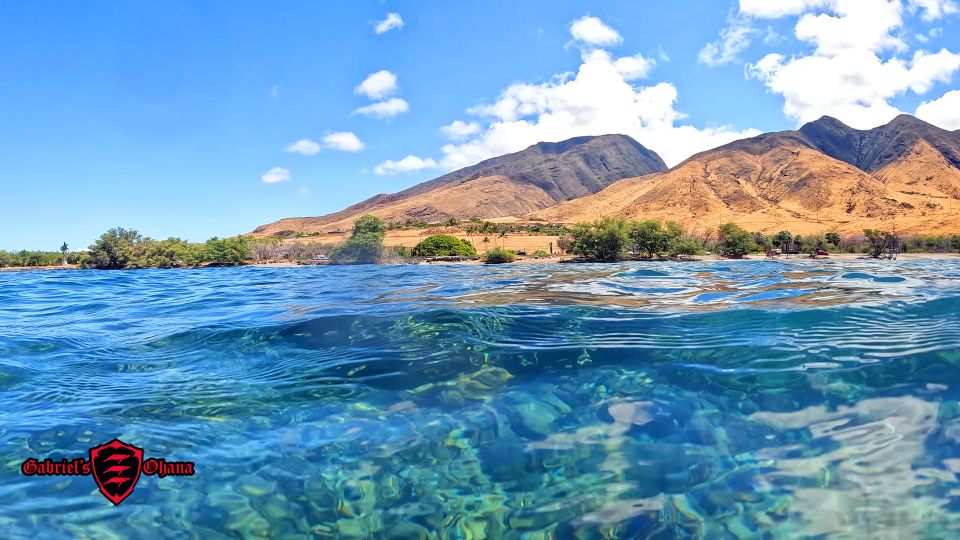 Olowalu: Guided Clear Kayak Tour - Unlimited - Key things I’d mark on your checklist
