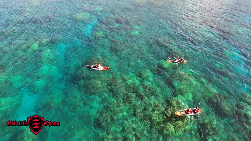 Olowalu: Guided Clear Kayak Tour - Unlimited - Who should book this clear kayak tour