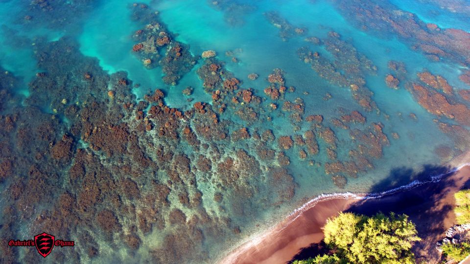 Olowalu: Guided Clear Kayak Tour - Unlimited - Sustainability that isn’t just a slogan