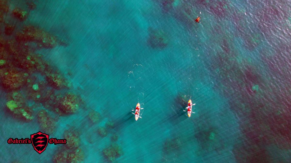 Olowalu: Guided Clear Kayak Tour - Unlimited - Price and value: what $129 includes, and why it can make sense
