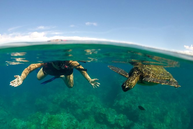 Paddle, Snorkel and Learn to Surf: All in a Day on Maui - Key things to know before you go