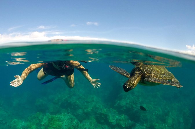 Paddle, Snorkel and Learn to Surf: All in a Day on Maui - Stop-by-stop flow: how the day keeps your momentum