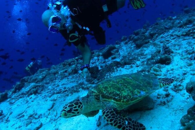 PADI Scuba Lesson and Shore Dive in Maui - Kahekili Beach Park Shore Setup: What It Feels Like Once You’re In
