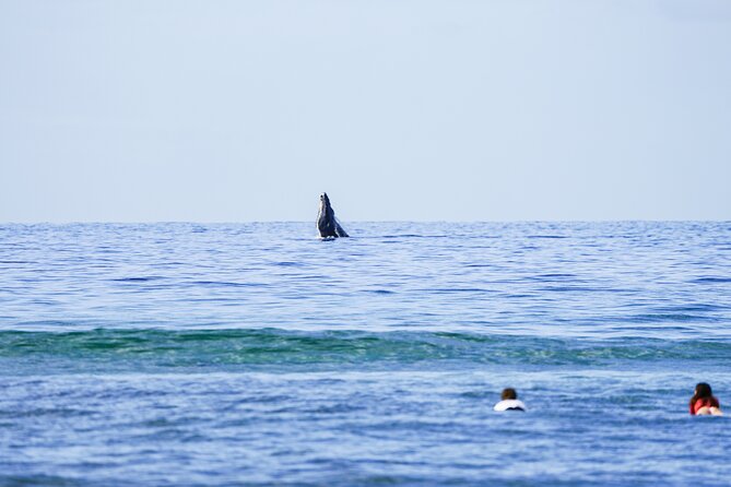 Private 2 hour Surf Lessons with Experienced Coaches - Ukumehame Beach Park: Where the Lesson Starts and What It Feels Like