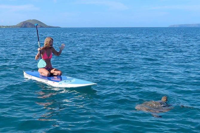 Private Beginner Paddleboard Lesson with Snorkel in Turtle Town - Makena Landing Park start: where you get ready to feel steady