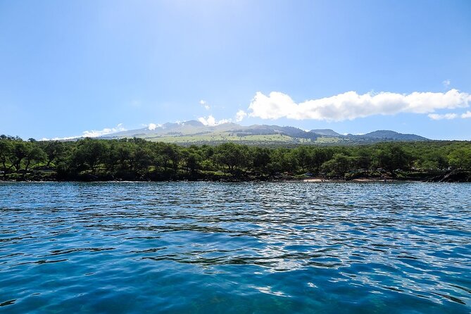 Private Beginner Paddleboard Lesson with Snorkel in Turtle Town - What’s included (and how that changes the value)