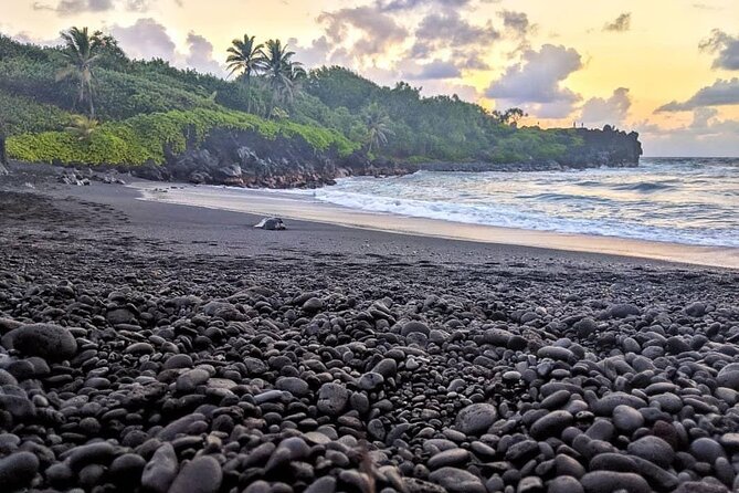 Private Full Day Hana Jeep Tour - Stop 2: Kaumahina State Wayside Park for the Overlook Reset